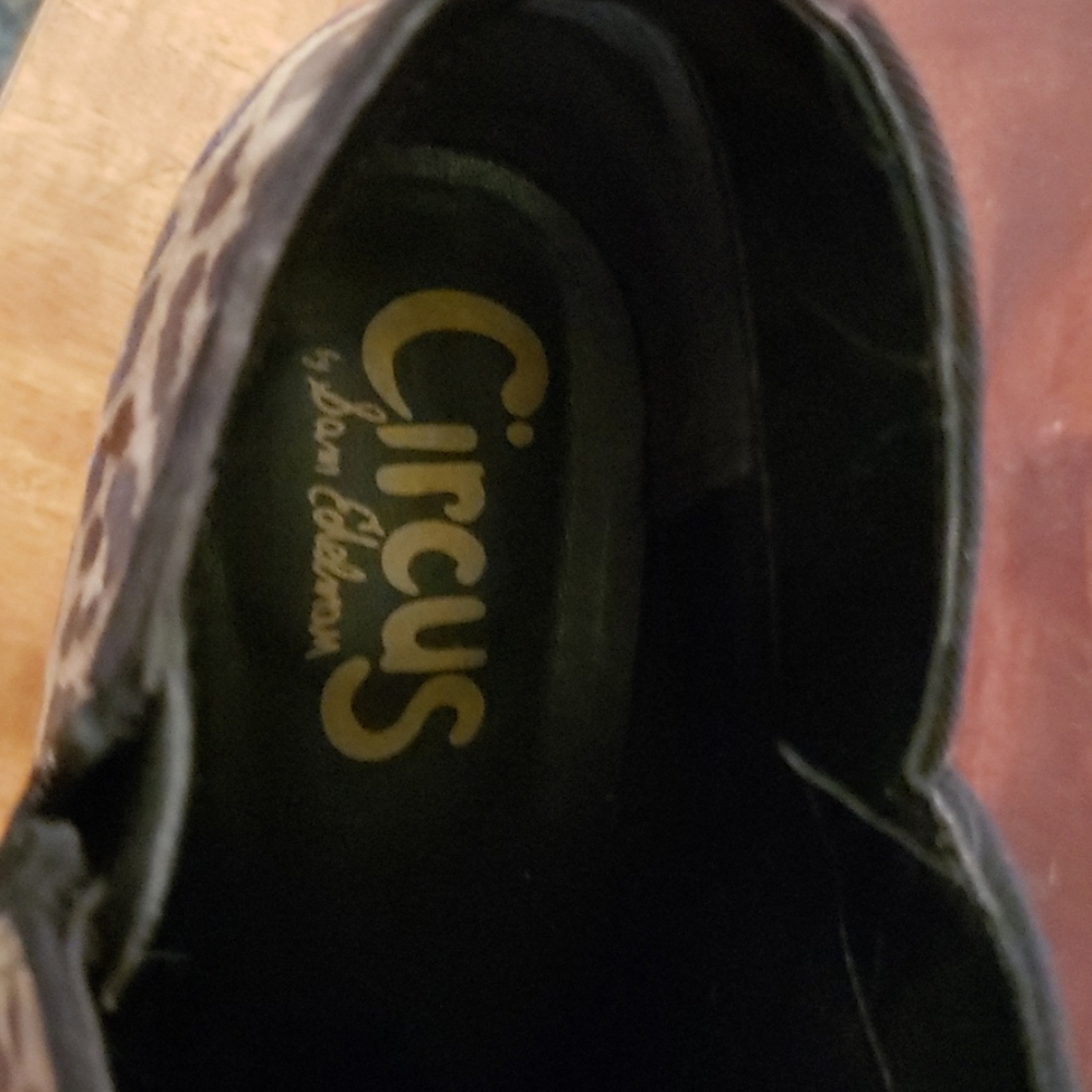 CIRCUS SAM EDELMAN KITTEN HEEL BOOTIES - Picture 4 of 8